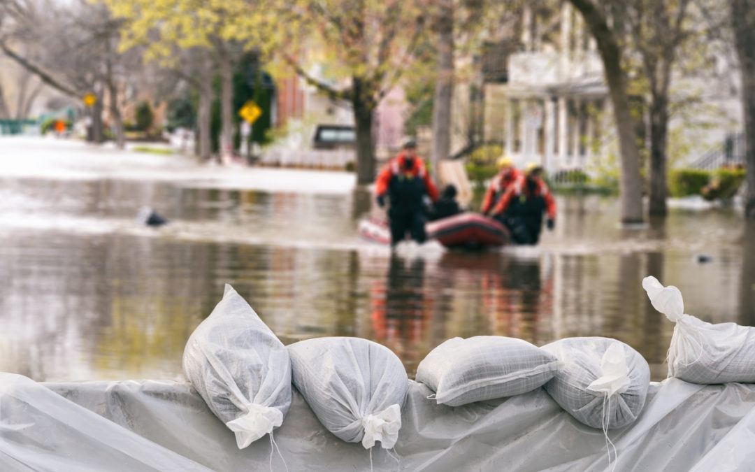 Building A Rapid Response Plan: Are You Prepared?