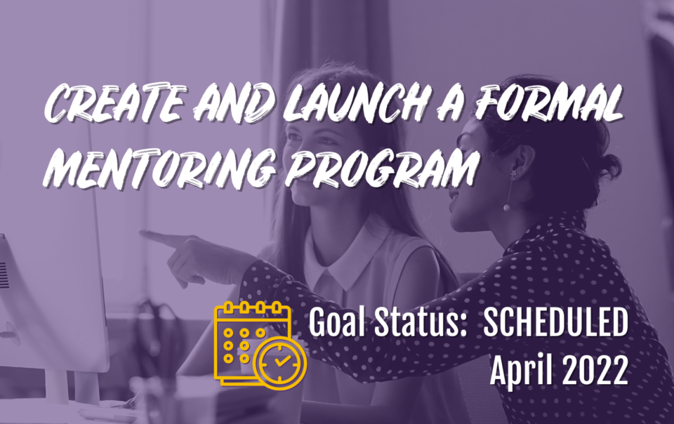 Create and launch a formal mentoring program